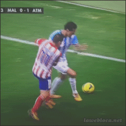 tumblr_mz1x55AMeX1s02vreo1_250.gif