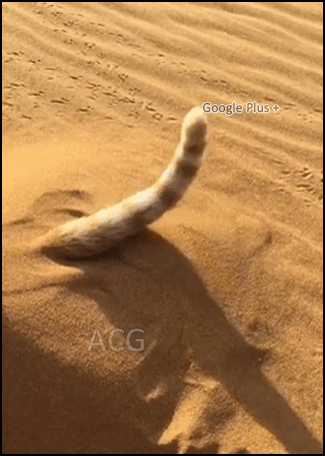 02081d8dc481b334097bd61f337ff772.gif