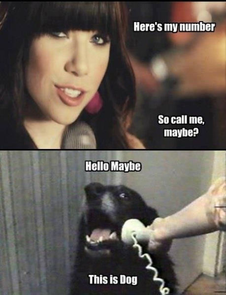 the_funniest_call_me_maybe_memes_640_07.jpg