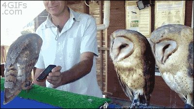 tumblr_mz29cwxbVm1qdlh1io1_400.gif