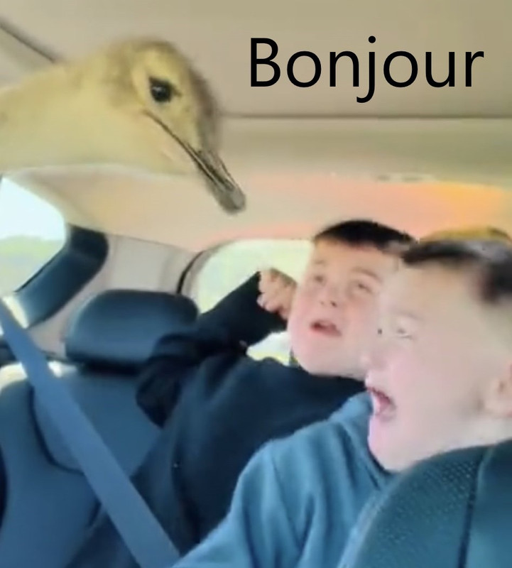 bonjour.jpg