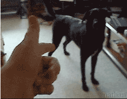 1232227368_m_9260.gif