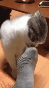 znxl4jhyvpjgpw2ihdod.gif