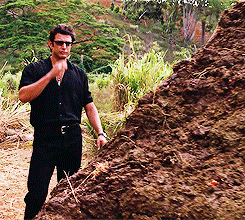 13N7.gif