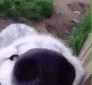 88b13d9c308ba6e7dfb2973678b7b4f4.gif