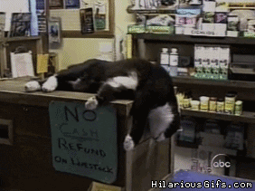 tumblr_mtl3eoppVL1stgrfzo1_400.gif