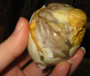 balut_egg.jpg