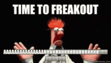 puppet-freakout.gif