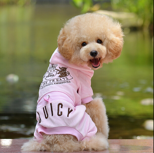 poodle-basic-tracksuit-words-on-the-butt.jpg