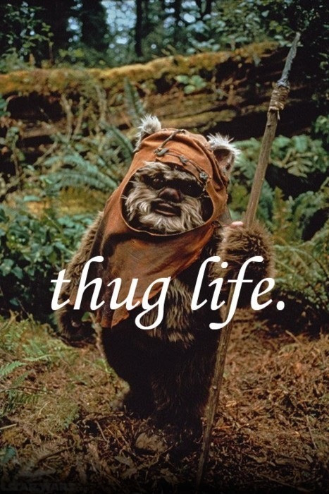 tumblr_meogdapaYi1rj5yt4o1_500.jpg