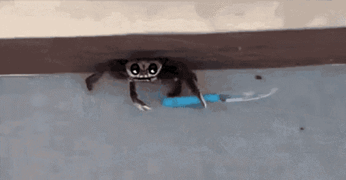 crab-knifefight.gif