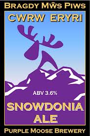Purple-Moose-Snowdonia.jpg