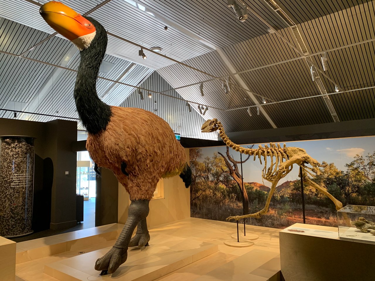 duck-dino-discovery-5.jpg