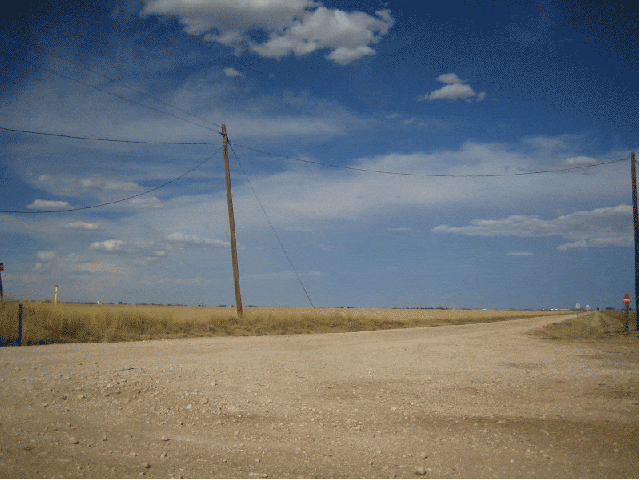 giphy.gif