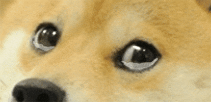 200.gif