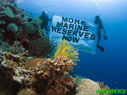 Greenpeace-Marine-Reserves-Banner.jpg
