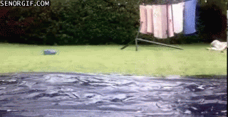coasting-through.gif