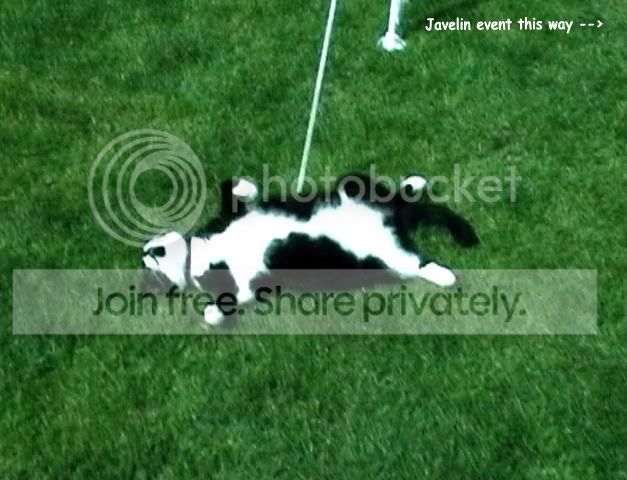 Billie_J_speared.jpg