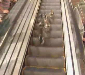 a62a5149daf82a85a32a1fcb27565533.gif