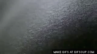 goosebumps-chills.gif