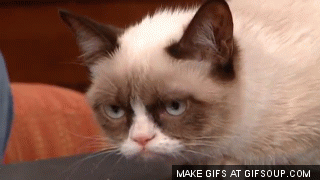tumblr_inline_ncft4i4UEq1s43n3v.gif