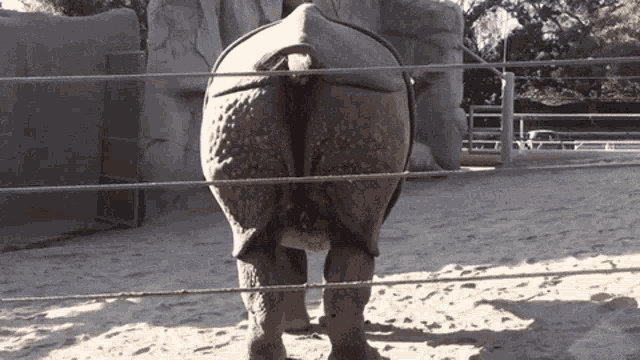 funny-anime-gif.gif