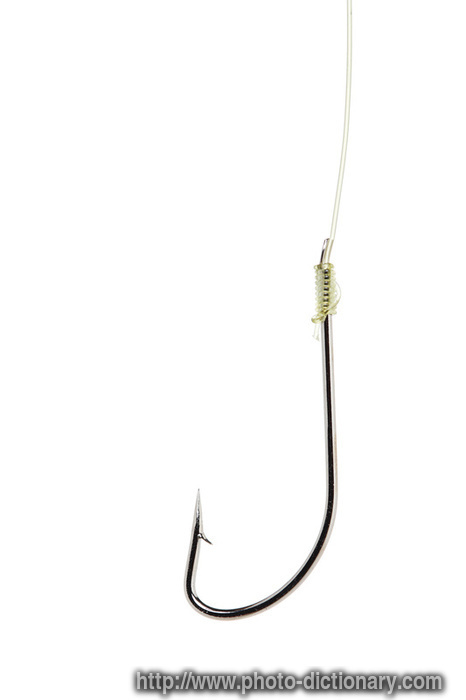 4841fishing_hook.jpg