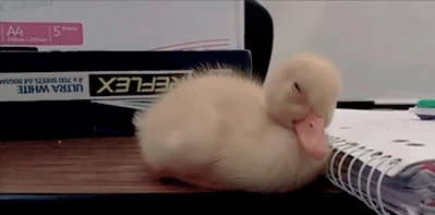 tumblr_mm39ixaoiT1r3gb3zo6_400.gif