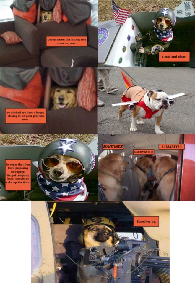 small_dog%20fort.jpg