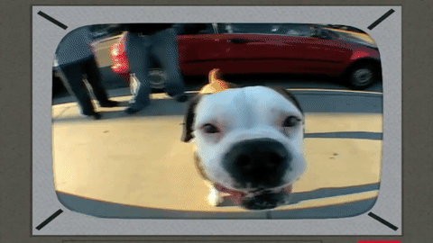 source.gif