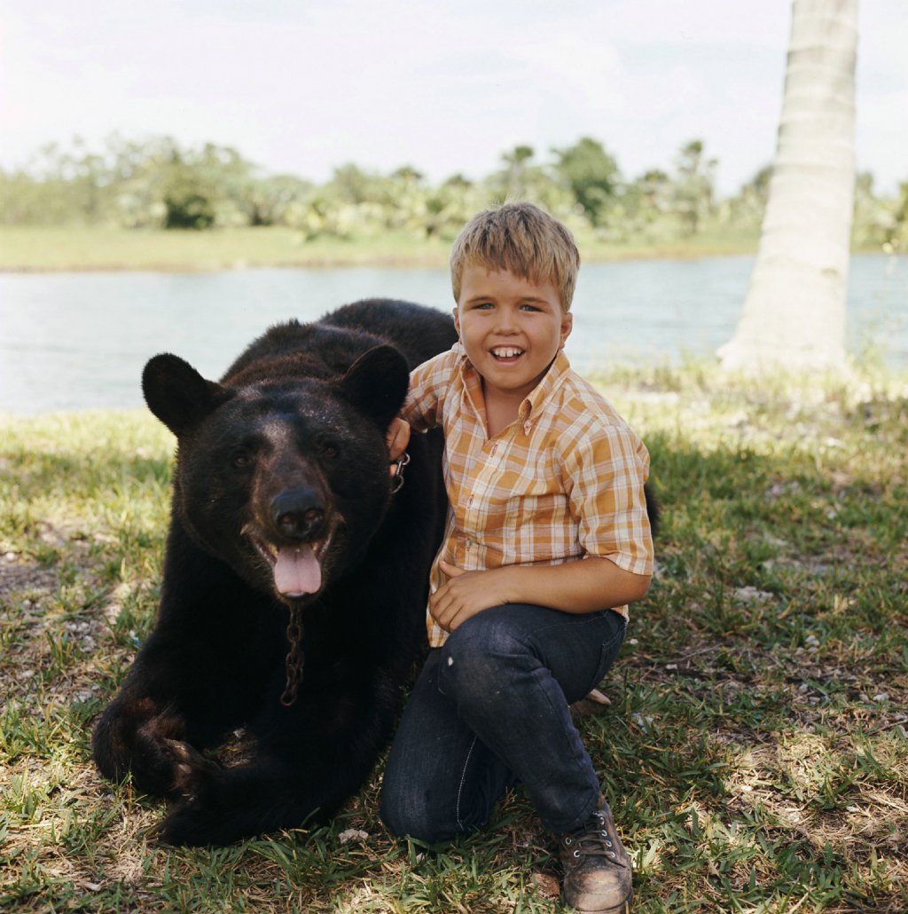 1024full-gentle-ben.jpg
