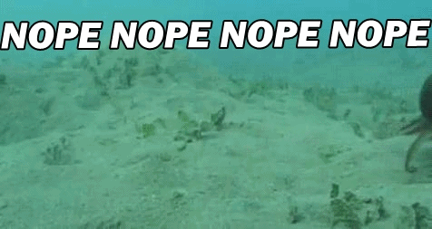 tumblr_inline_mi2as0f3ua1qz4rgp.gif