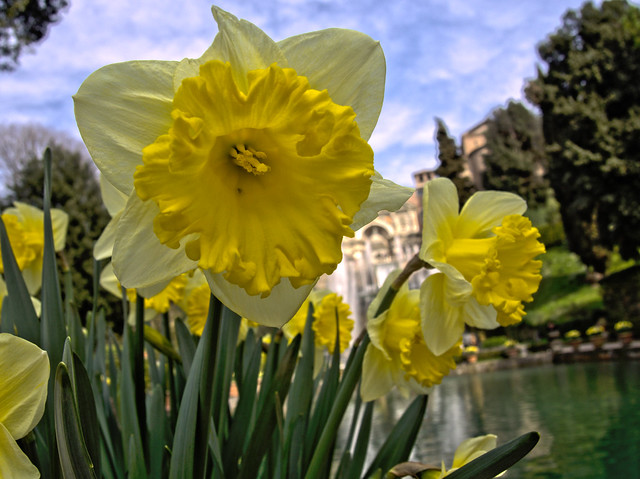 13212031523_094f8eca3d_z.jpg