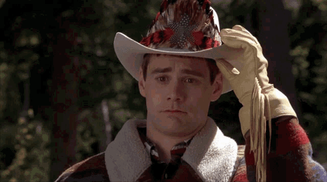 bh187-dumb-and-dumber.gif