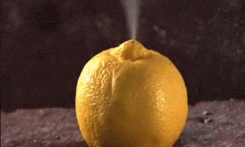 lemon-fruit.gif