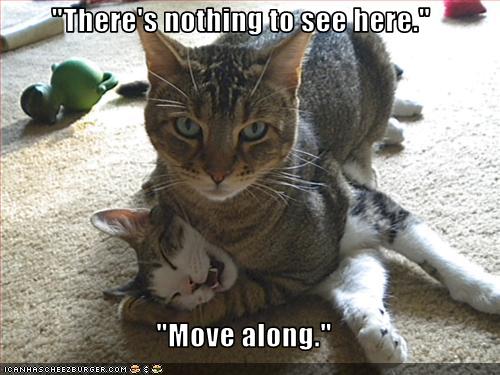 25%20-%20Nothing-to-see-here-move-along.jpg