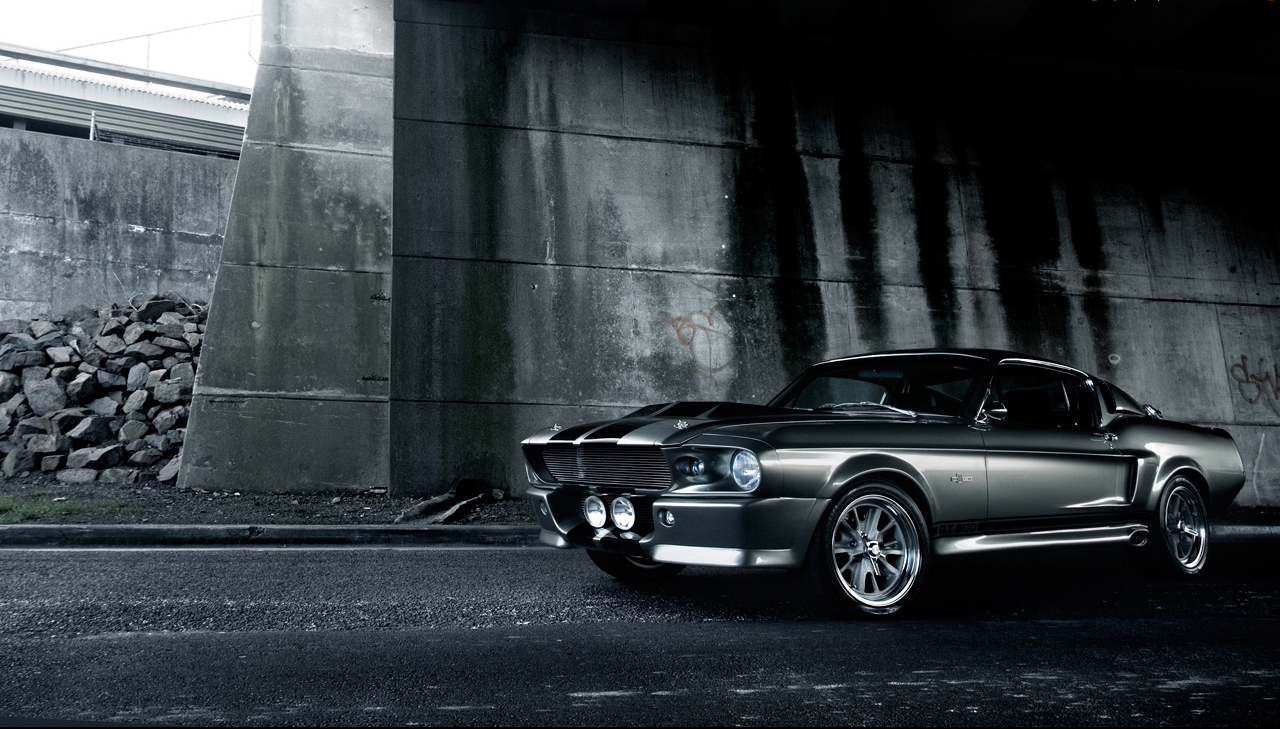 mustang2.jpg