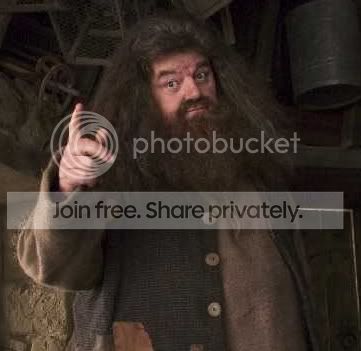 hagrid.jpg