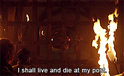 tumblr_n6yhi9FFqQ1rnmqleo7_250.gif