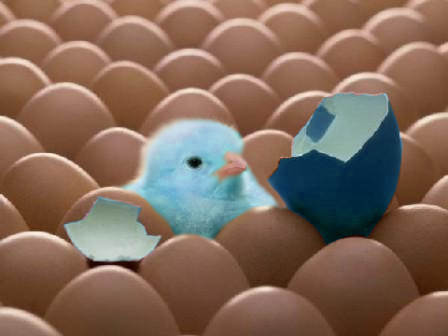 Blue_Chicken_by_maveil.jpg