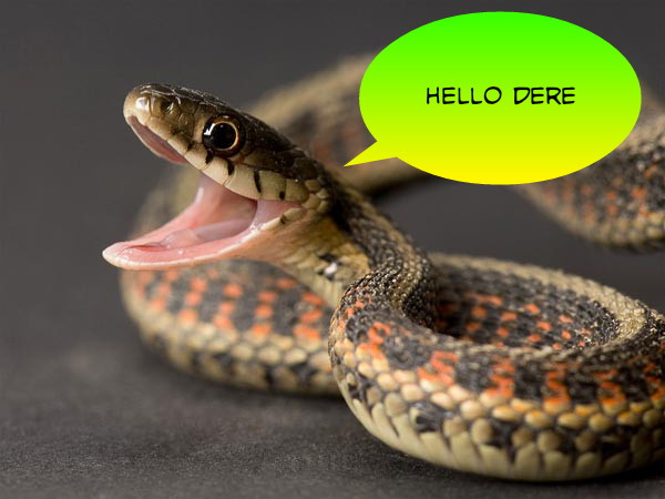 User-Completed-Image-Hold-a-Snake-2016.02.22-00.59.00.0.jpg