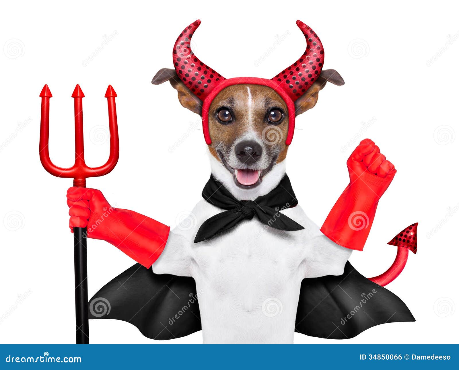 devil-dog-behind-blank-white-banner-34850066.jpg