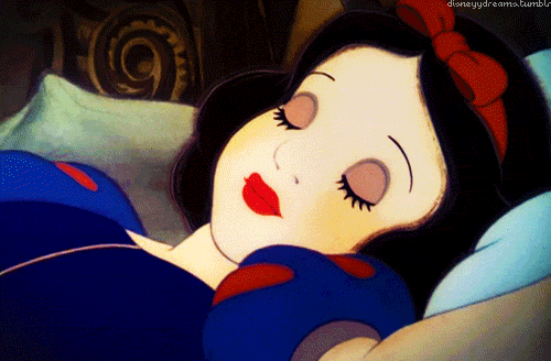 tumblr_mpz0dcQmQP1sucjego1_500.gif