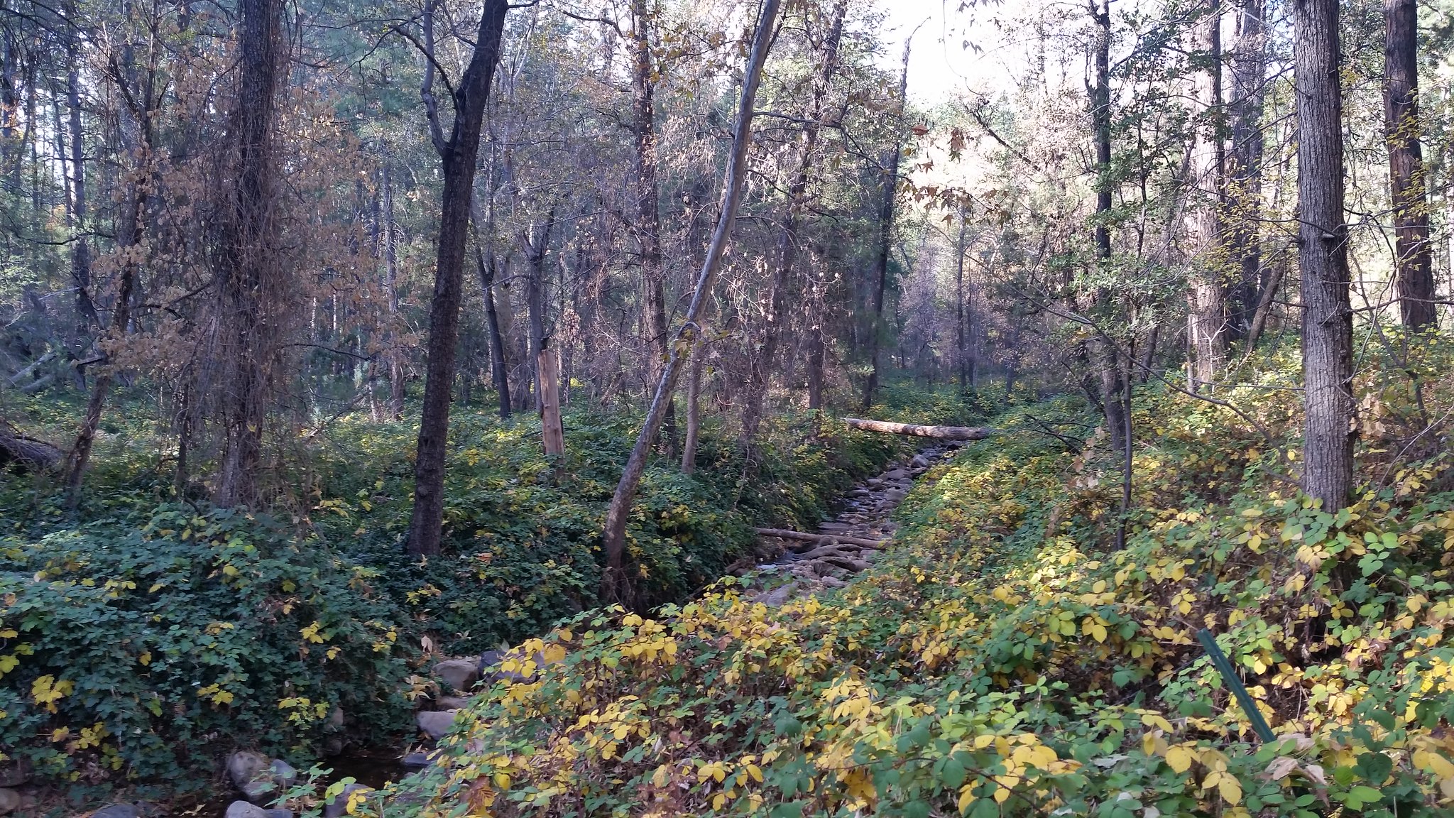 49057212177_bc18774be9_k.jpg