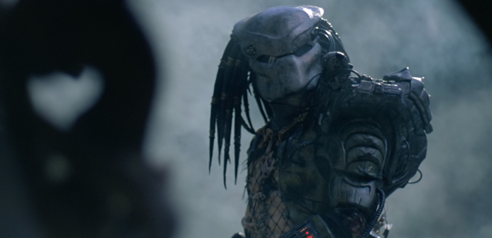 predator2-e1512578835480.jpg