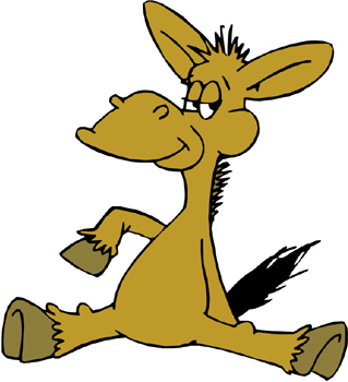 donkey.jpg