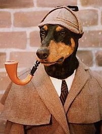 sherlockholmesdog.jpg