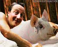 cameronpig4b.gif