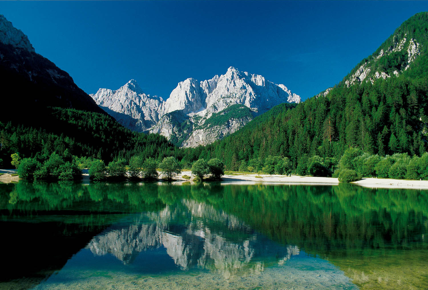 jasna.jpg