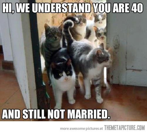 980784ca21502bd9c33bf88c88dd6d5b.jpg